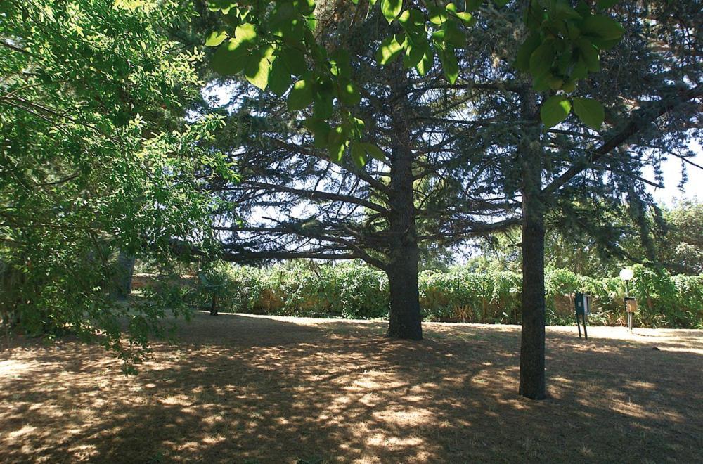 Ranch Hotel 스카를리노 외부 사진